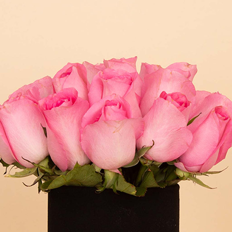 Blush Vase  - 20 Pink Roses