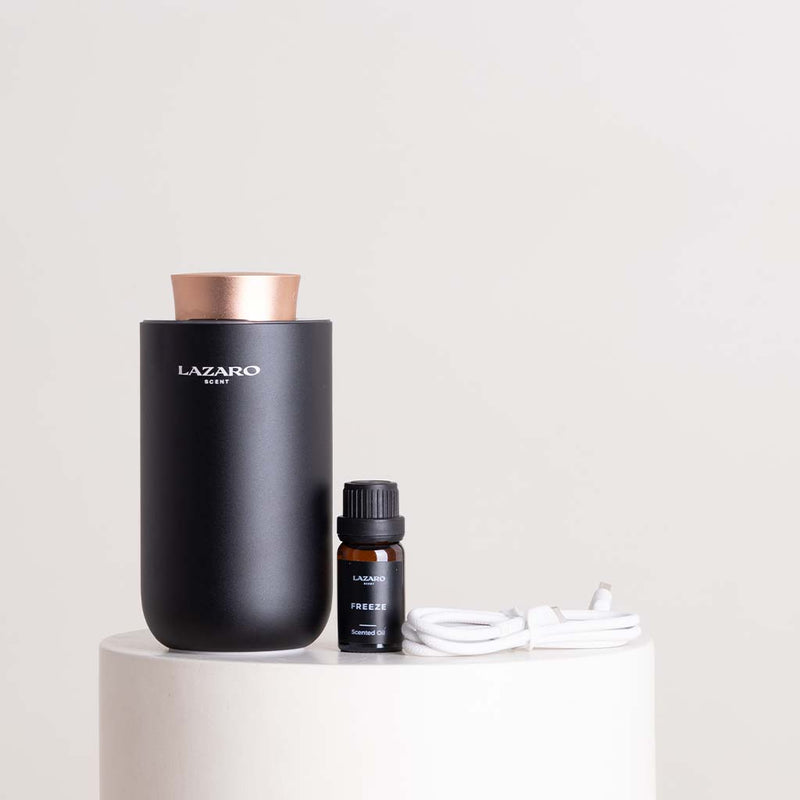 Lazaro Car Diffuser & Pink Roses Bouquet