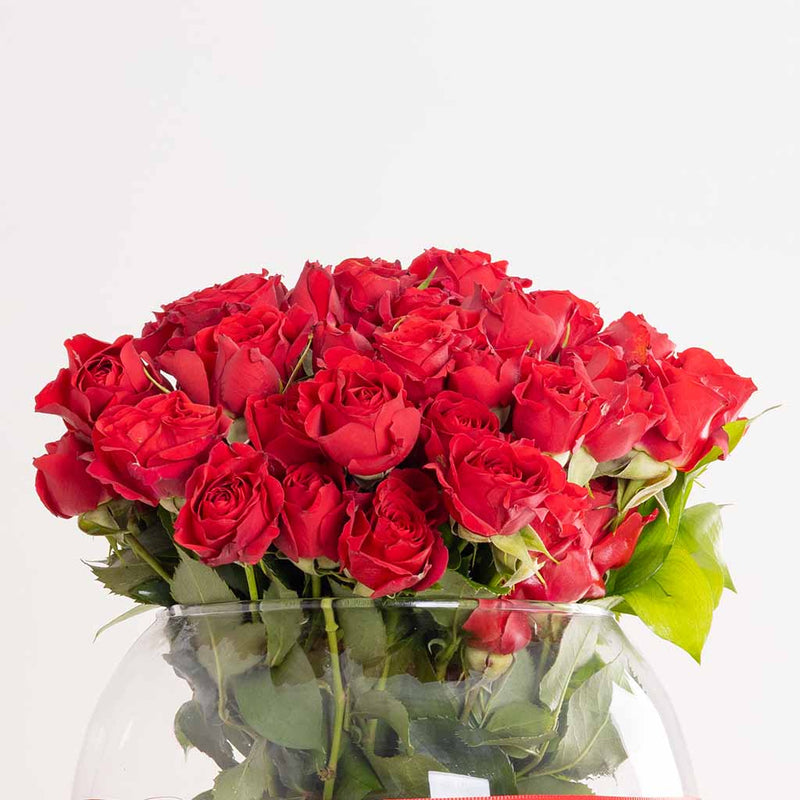 Scarlet Baby Blooms Vase