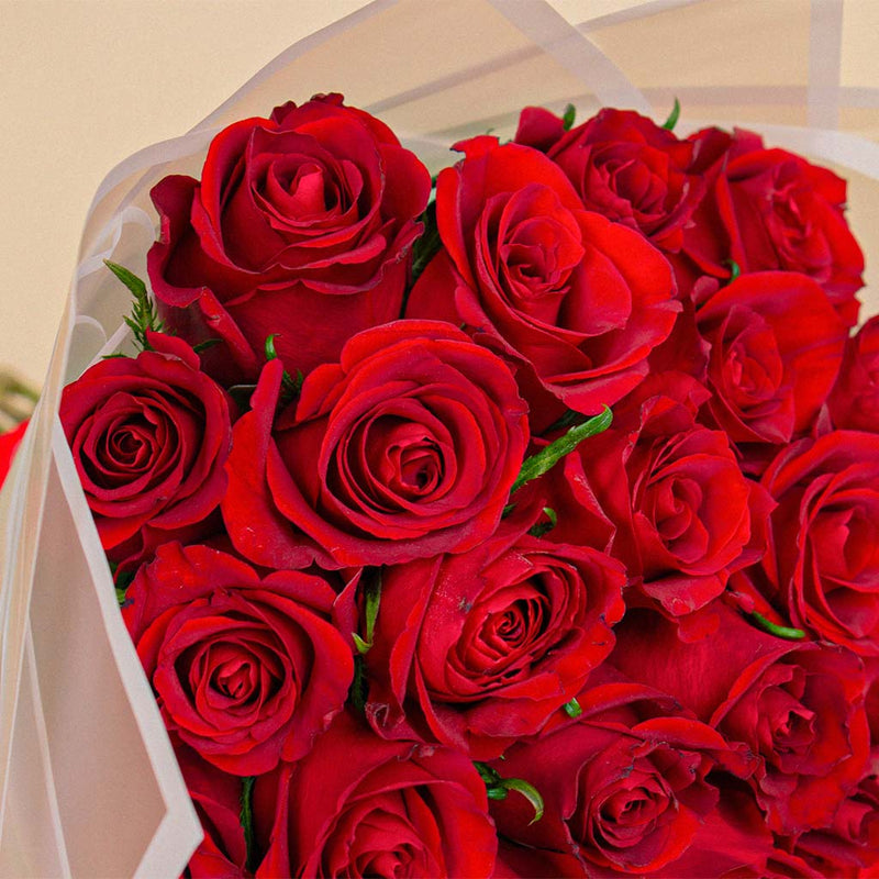 Dreamy Red Roses Bouquet | 25 Flowers