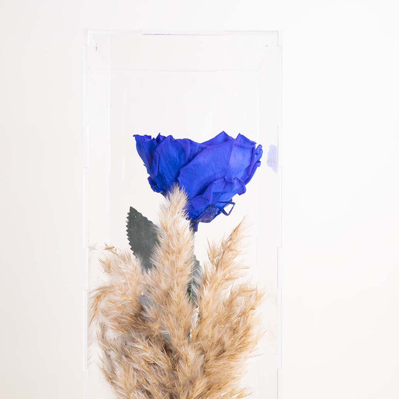 Blue Eternity Rose