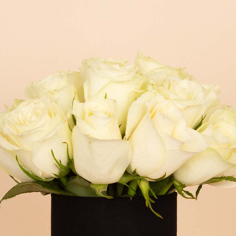 White Serenity Vase - 20 Roses