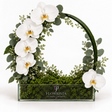 A floral arrangement in a rectangular glass planter by Flowrista, featuring white orchids, green eucalyptus, and moss inside a curved green wire frame, photographed on a white background.