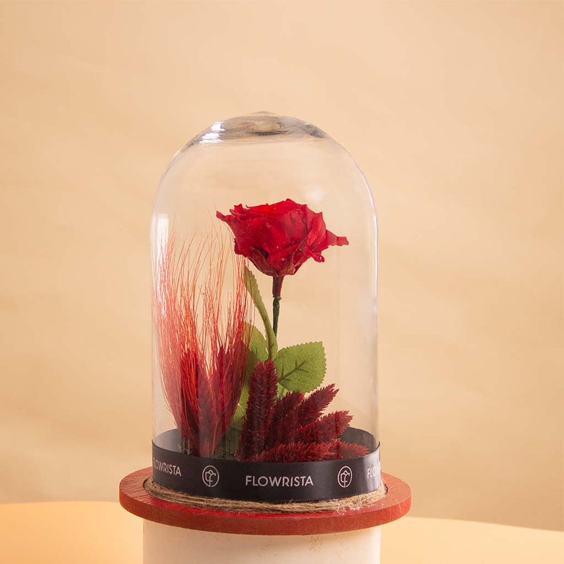 Large Red Eternity Rose