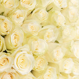 100 White Roses bouquet