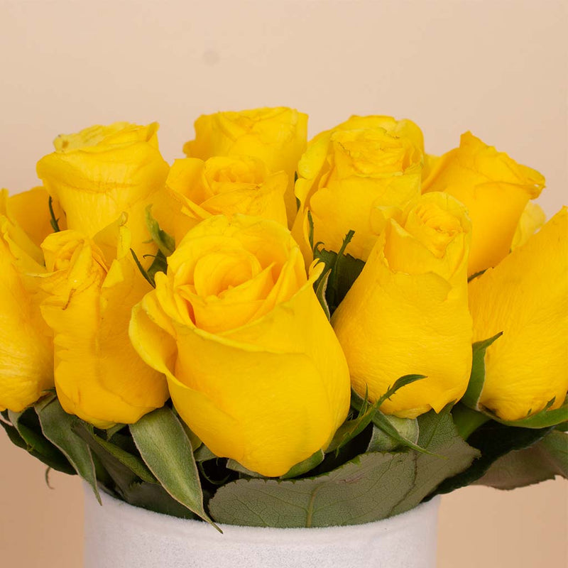Yellow Signature Vase - 20 Stems
