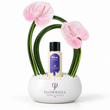 Luxury gift set featuring Abdul Samad Al Qurashi Viva Macaron 100ml with pink anthuriums in a white Flowrista ceramic bowl. Sweet, elegant, and perfect for gifting in Dubai.