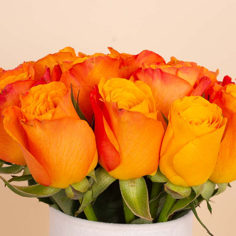 Orange Signature Vase - 20 Stems