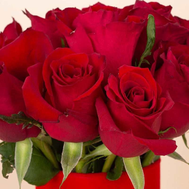 Red Glow Vase - 20 Stems