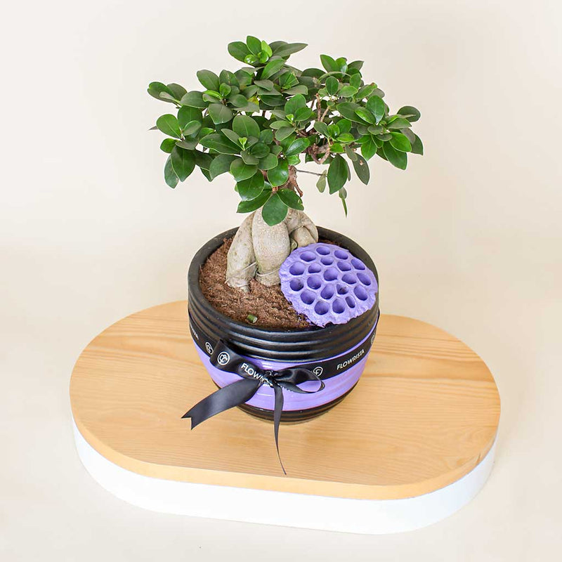 Versatile Decor Piece: Pottery Pot Vase for Luxury Interiors