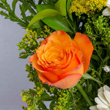 Flower Mix Box