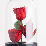 Double Red Eternity Rose