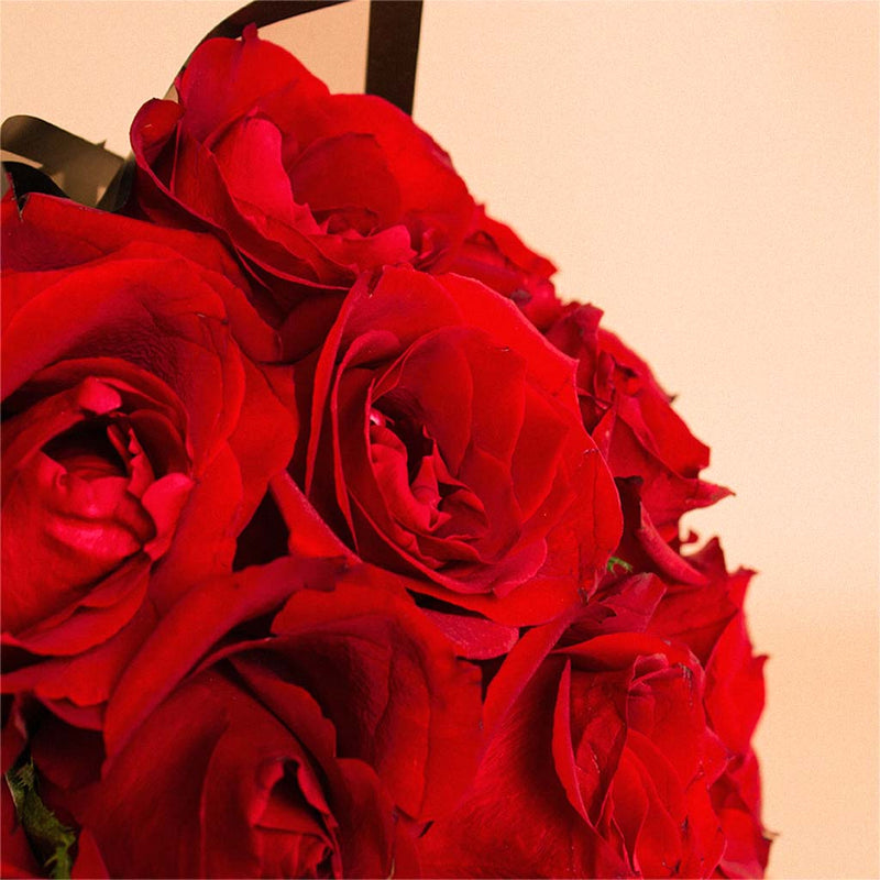 Red Love Hand Bouquet | 20 Red Rose