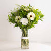 Whisper of White – Gerbera & Caranthantum Vase