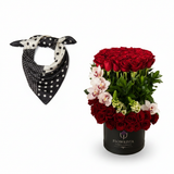 Mango black satin polka dot triangular scarf with Flowrista Persian Queen luxury red roses box