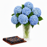 Mango navy chain-print satin scarf with Flowrista blue hydrangeas crystal vase luxury gift set
