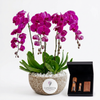 Vintage Tobacco black gift box beside a purple orchid plant in a textured Flowrista planter