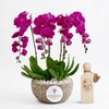 Riviera Sunset perfume beside a four-stem purple orchid plant in a textured Flowrista planter