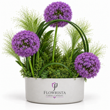 Flowrista purple allium arrangement with lush greenery in a white oval vase
