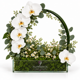 Artificial white orchids and eucalyptus-style foliage around a green arch in a rectangular Flowrista box