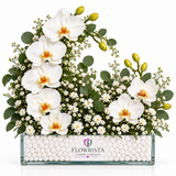 White phalaenopsis orchid arrangement with baby's breath and eucalyptus in a Flowrista glass vase